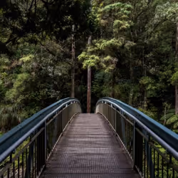 Bridge