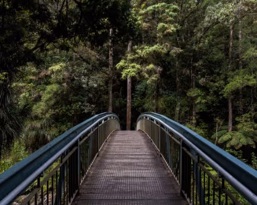 Bridge
