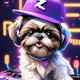 Dj zora shih tzu