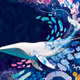 WHALE