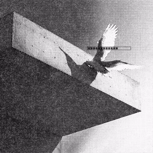 Watch the Sky, have a response.