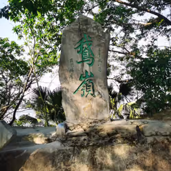 测试