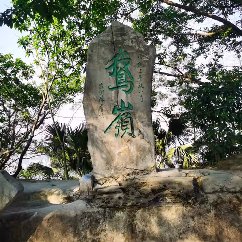 测试