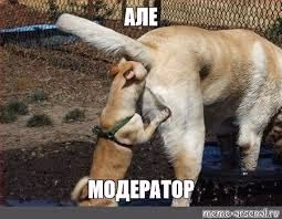 allo