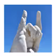 The hand