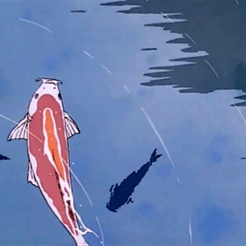 錦鯉