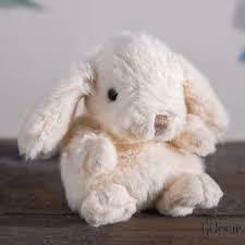 Robin Rabbit