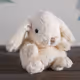 Robin Rabbit