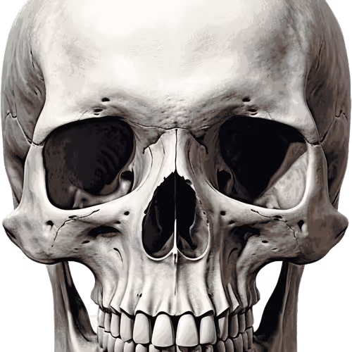 0x7c2b03e9c971effc0d44e61fb28c01eca2e8164a