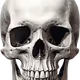 0x7c2b03e9c971effc0d44e61fb28c01eca2e8164a