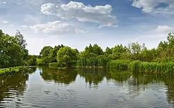 The river