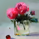 Vase and cherry best choice 12