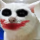SIPELER