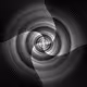 Black Orbital
