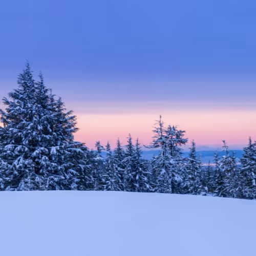 winter