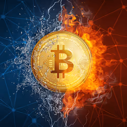 BTC Mania