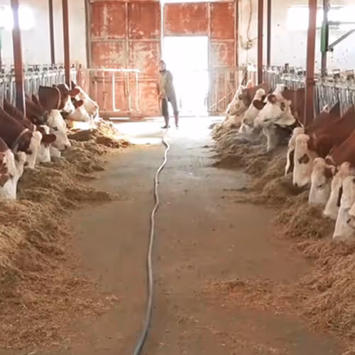 sektor7k'in çiftliği