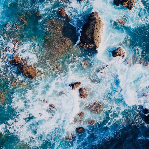 Blue life