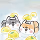 shibainu