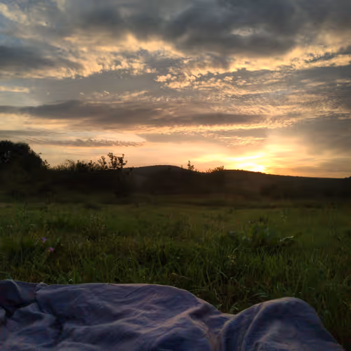 Sokolovsky 1337 club