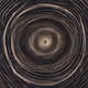 Realty Zorb