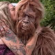 bigfoot taking your girl