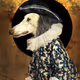 GOYA DOG'S