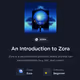 An Introduction to Zora