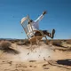 Desert Chair Leaps