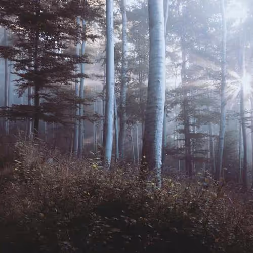 Order Ceramic Screenshots