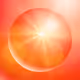 Early User Zorb