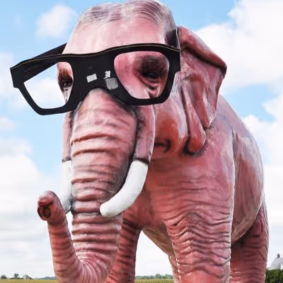 Nearsighted Elephant