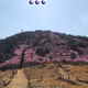 Muhak mt.