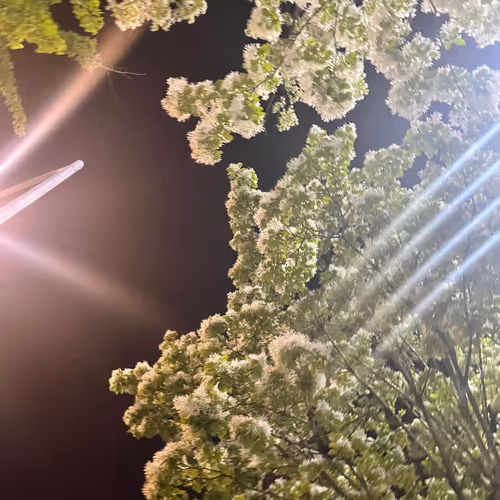 a single beam of light