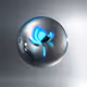 Capturing Spherical Wonder