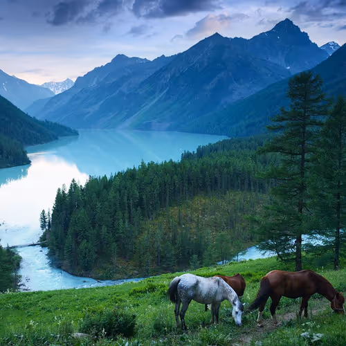 altai