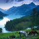 altai