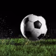 Ball