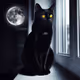 Pussy Cat
