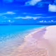 Onchain summer