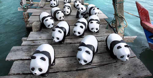 Pandas