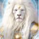 Lyrans of Crypto