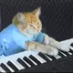 Keyboard Cat On Base - Official IP