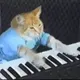 Keyboard Cat On Base - Official IP