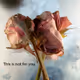 Discarded flowers