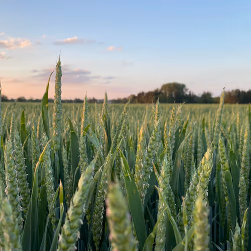 onchain enjoyoor card