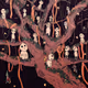 strange tree