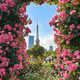 Tokyo tower in the rose garden