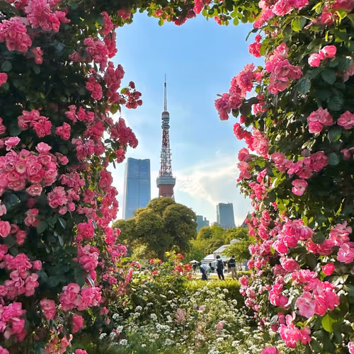 Tokyo tower in the rose garden