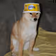 doge